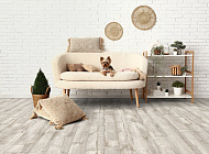 Линолеум MOTIV DANISH OAK 2_DA02  бытовой, 2,5 м/2,2мм