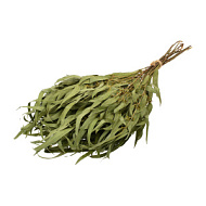 Веник эвкалиптовый 45*20*3 см.