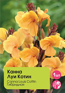 Канна Луи Коттин 1шт/canna louis cottin