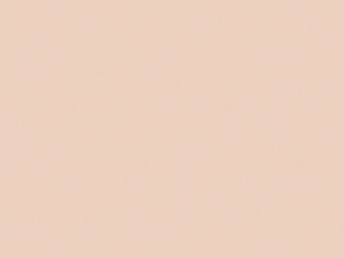 Обои Erismann Spring collection виниловые на флизелиновой основе 10,05 м *10 м