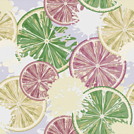 Ф877-04  Обои бумажные Лимонарий 0,53*10