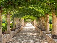 Фотообои Flizelini Зеленая тропинка 2,7*2,7м