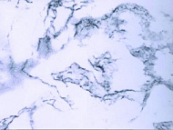Пленка самоклеящаяся D&B мрамор бело-серый 0,45*8м