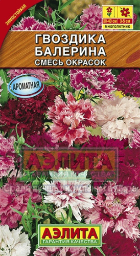 Гвоздика перистая Махровая Балерина смесь 0,1гр