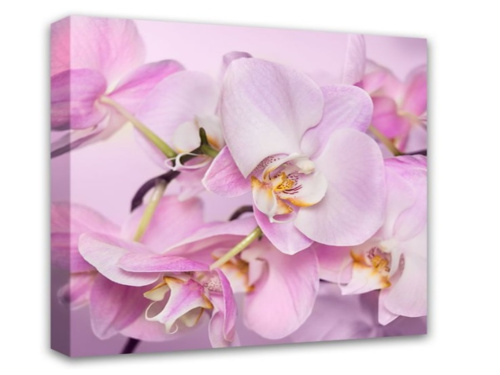 Картина на подрамнике "Симфония" 30*30