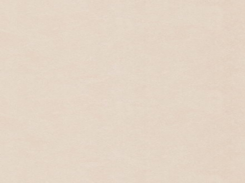Обои Furry компактн.винил  1,06*10м